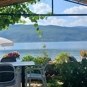 Nesti Relax , Lini Albania